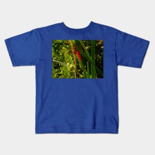 Red dragonfly Kids T-Shirt